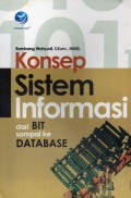 Konsep Sistem Informasi dari BIT sampai ke Database