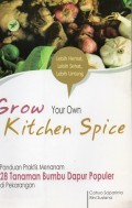Grow Your Own Kitchen Spice: Panduan Praktis Menanam 28 Tanaman Bumbu Dapur Populer di Pekarangan