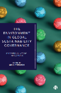 THE ENVIRONMENT IN GLOBAL SUSTAINABILITY GOVERNANCE: Perceptions, Actors, Innovations