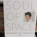 Soul of Space