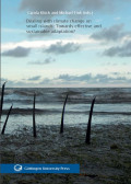 Dealing with climate change on small islands: Towards effective and sustainable adaptation?