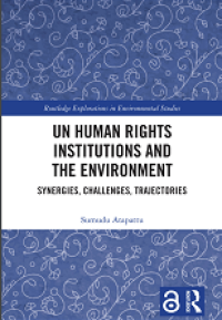 UN Human Rights Institutions and the Environment