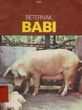 Beternak Babi