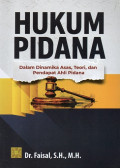 Hukum Pidana dalam Dinamika Asas, Teori, dan Pendapat Ahli Pidana