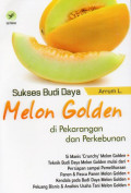 Sukses Budi Daya Melon Golden di Pekarangan dan Perkebunan