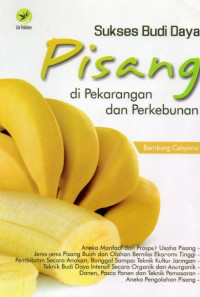 Sukses Budi Daya Pisang di Pekarangan dan Perkebunan