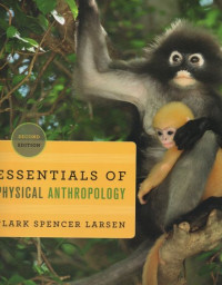 Essentials of Physical Anthropology : Discovering Our Origins